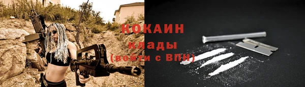 спиды Новодвинск