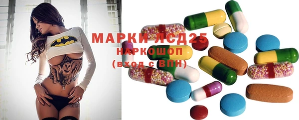 спиды Новодвинск
