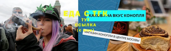 хмурый Новозыбков