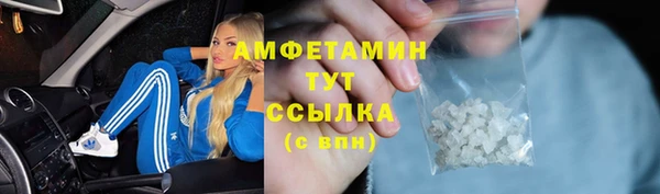 спиды Новодвинск