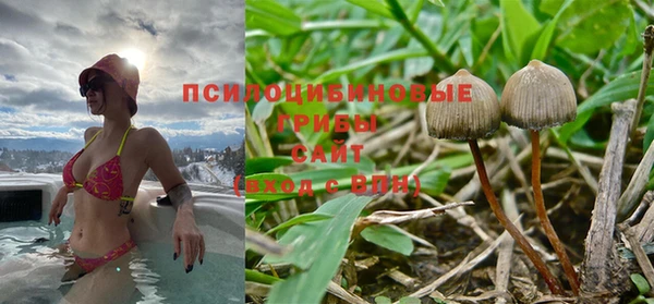 спиды Новодвинск