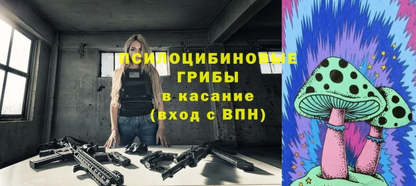 соль ск Новокубанск