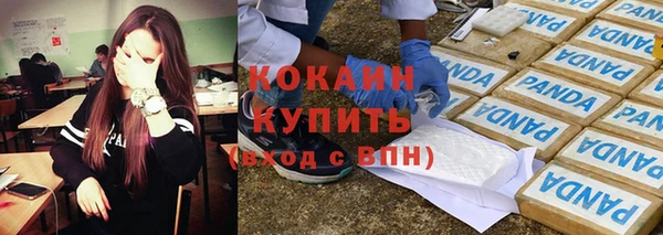 хмурый Новозыбков