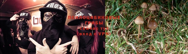хмурый Новозыбков