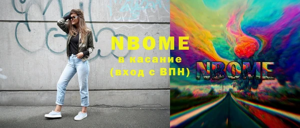 хмурый Новозыбков