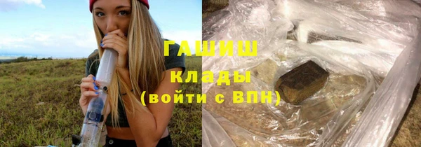 хмурый Новозыбков