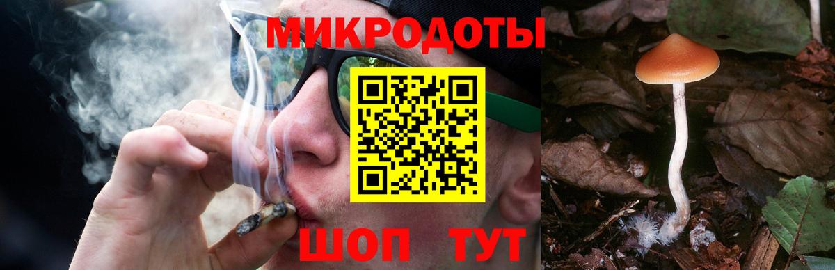 Галлюциногенные грибы прущие грибы Тара