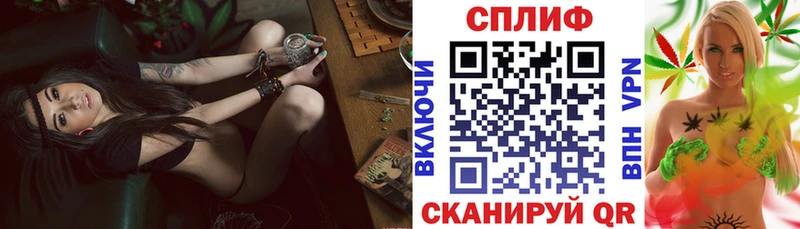 МАРИХУАНА сатива  Тара 